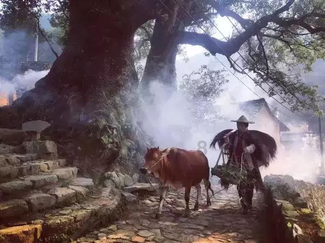 脸上起痘,挤了之后变成大块痘印,怎么去除?-专业知识问答网页