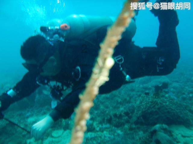 在拉斯维加斯,假如你赢了千万以上,你会收手走人吗?不可能