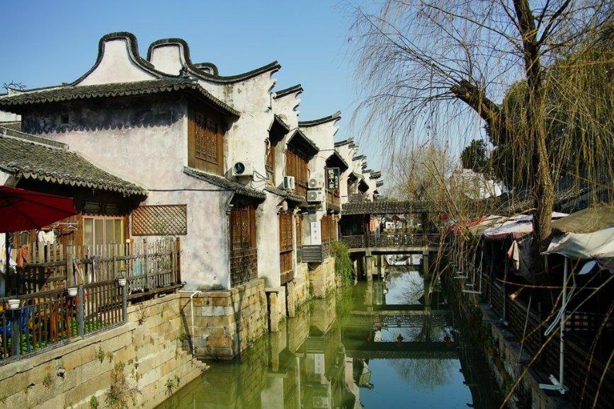 《猫奴图传:中国古代喵呜文化》|每日一书
