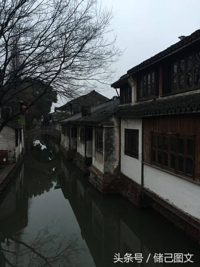 动物帮帮忙保卫家园